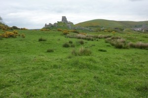 This is the view the attackers would have had of Corfe Castle as they camped among the ramparts of The Rings.