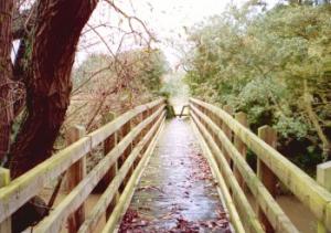 footbridge over River Avon
