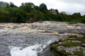River Wharfe in spate