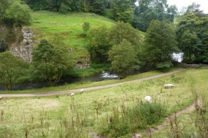 This footbridge is the first river crossing point beyond Shining Tor. As you approach the bridge, notice the cave up on the hill to the right of the footpath.