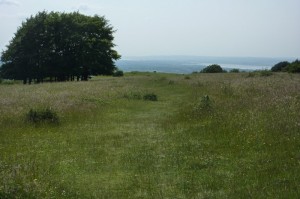 Haresfield Beacon provides one of many arresting views along the route of the Cotswold Way