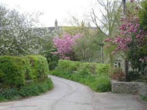 Kingscote in blossom time