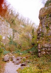 Ebbor Gorge