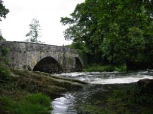 SkelwithBridge SkelwithBridge