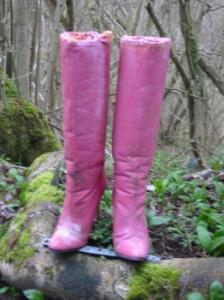 Mysterious footwear nailed to a stump!