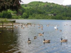Grasmere lake