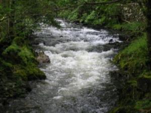 River Esk River Esk