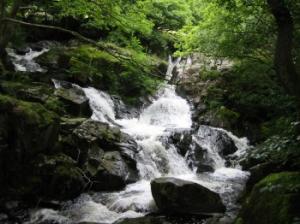 Lower Falls, Eskdale