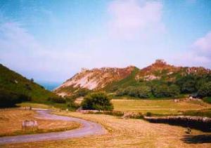 Valley of the Rocks, Lynton