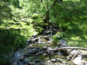 Bridge on the Pony Path (Cader Idris)