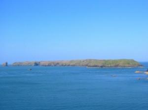 Skomer Island