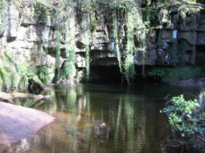 emerging stream at Pwll Du