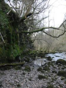 resurgence Afon Nedd resurges from its gravel bed
