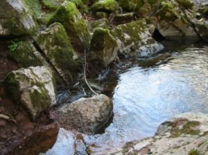 Pwl-y-Rhyd The river goes underground at Pwl-y-Rhyd