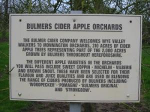 Bulmers Cider orchard